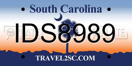 IDS8989 South Carolina License Plate