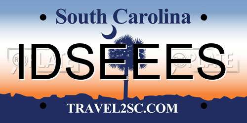 IDSEEES South Carolina License Plate