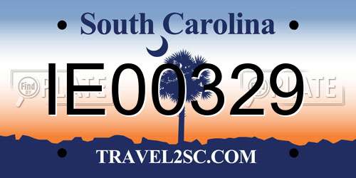 IE00329 South Carolina License Plate