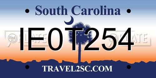 IE0T254 South Carolina License Plate