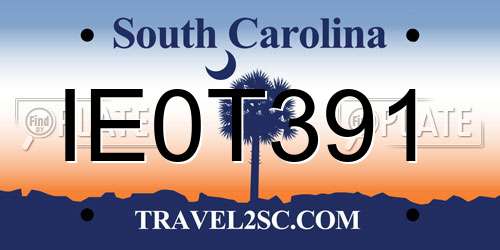 IE0T391 South Carolina License Plate