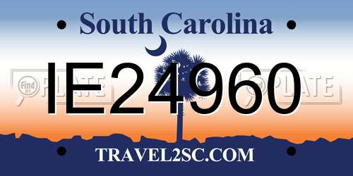 IE24960 South Carolina License Plate