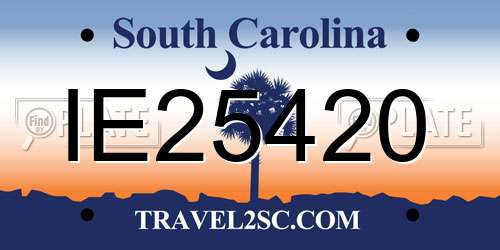IE25420 South Carolina License Plate