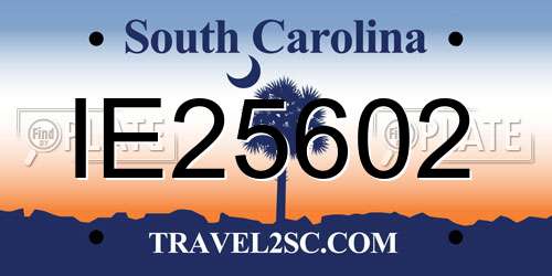 IE25602 South Carolina License Plate
