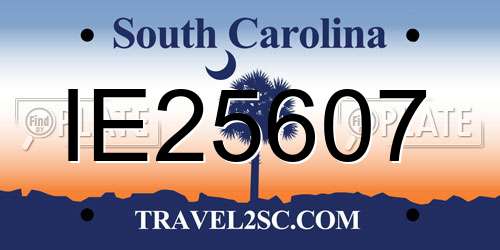 IE25607 South Carolina License Plate