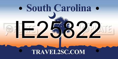IE25822 South Carolina License Plate