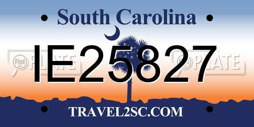 IE25827 South Carolina License Plate