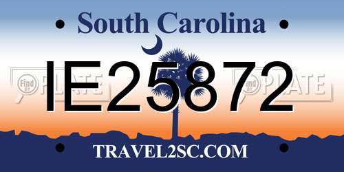 IE25872 South Carolina License Plate