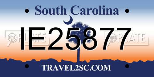 IE25877 South Carolina License Plate