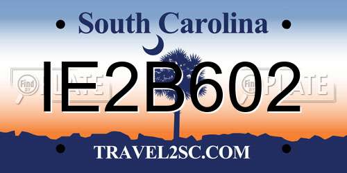 IE2B602 South Carolina License Plate