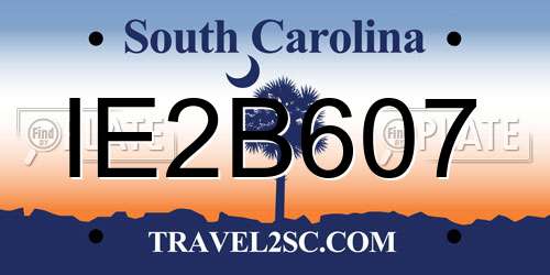 IE2B607 South Carolina License Plate