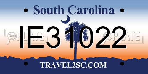 IE31022 South Carolina License Plate