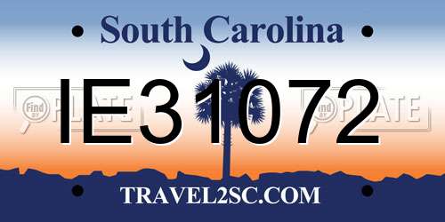 IE31072 South Carolina License Plate