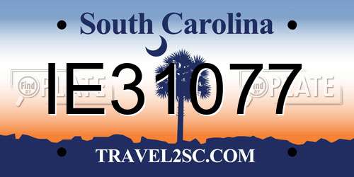 IE31077 South Carolina License Plate