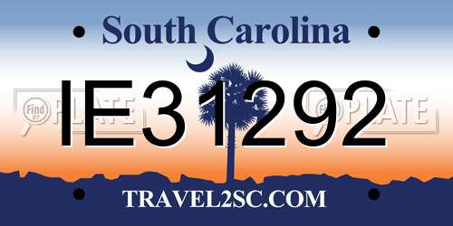 IE31292 South Carolina License Plate