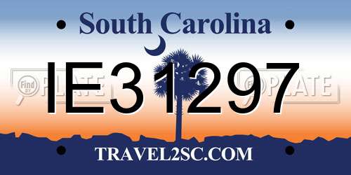 IE31297 South Carolina License Plate