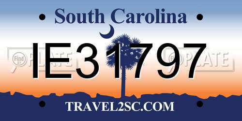 IE31797 South Carolina License Plate
