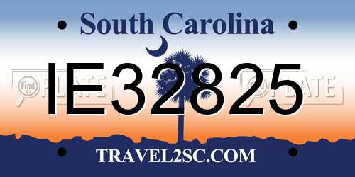 IE32825 South Carolina License Plate