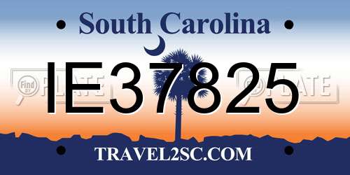 IE37825 South Carolina License Plate