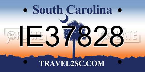 IE37828 South Carolina License Plate