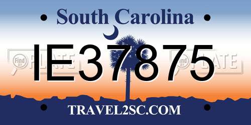 IE37875 South Carolina License Plate