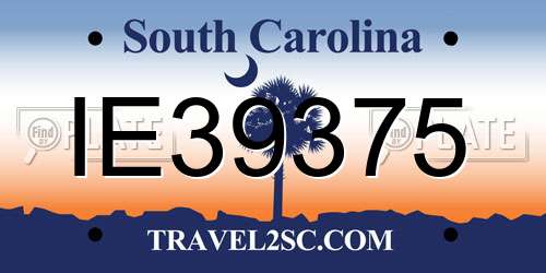 IE39375 South Carolina License Plate
