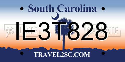 IE3T828 South Carolina License Plate