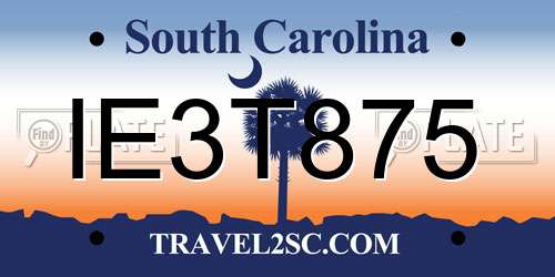 IE3T875 South Carolina License Plate