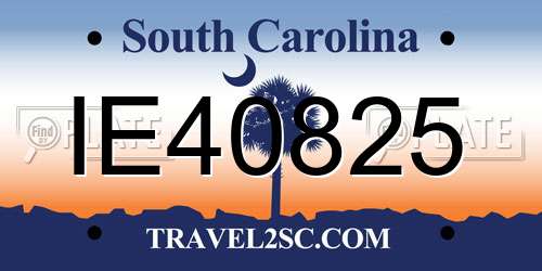 IE40825 South Carolina License Plate