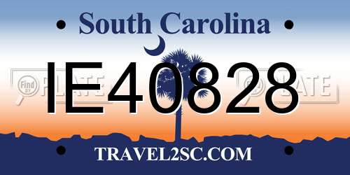 IE40828 South Carolina License Plate