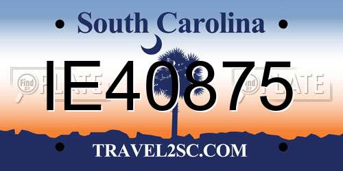 IE40875 South Carolina License Plate