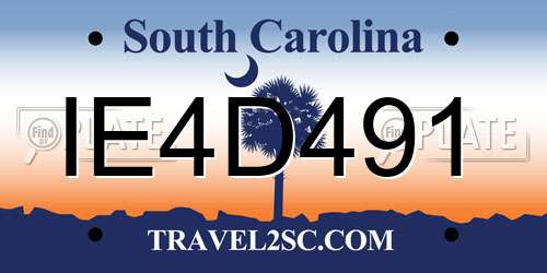 IE4D491 South Carolina License Plate