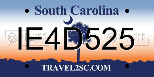 IE4D525 South Carolina License Plate