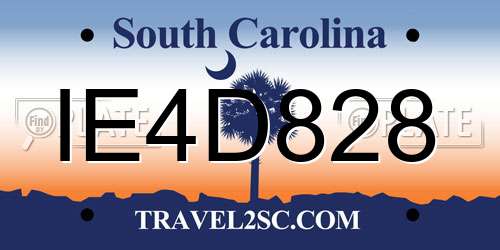 IE4D828 South Carolina License Plate