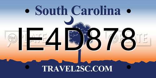 IE4D878 South Carolina License Plate