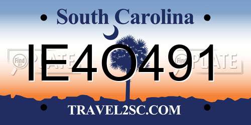 IE4O491 South Carolina License Plate
