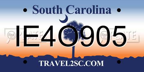 IE4O905 South Carolina License Plate