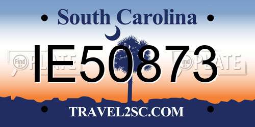 IE50873 South Carolina License Plate