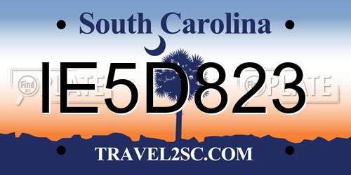 IE5D823 South Carolina License Plate