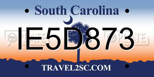 IE5D873 South Carolina License Plate