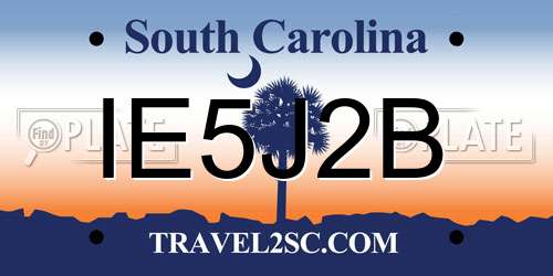 IE5J2B South Carolina License Plate