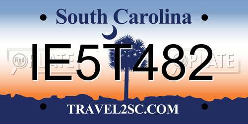 IE5T482 South Carolina License Plate