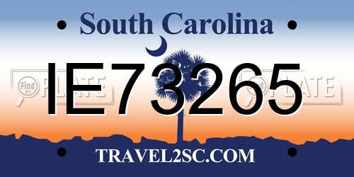 IE73265 South Carolina License Plate