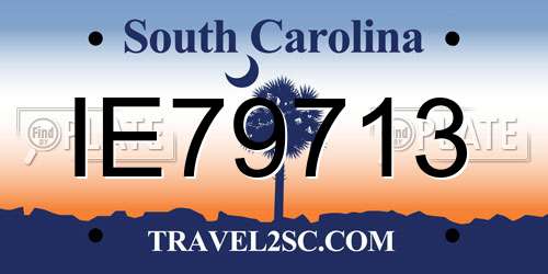 IE79713 South Carolina License Plate
