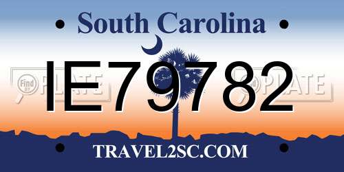 IE79782 South Carolina License Plate