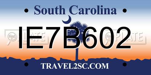 IE7B602 South Carolina License Plate