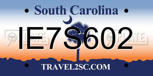 IE7S602 South Carolina License Plate