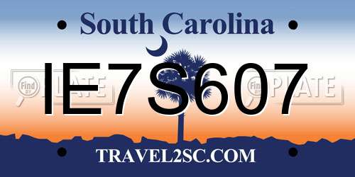 IE7S607 South Carolina License Plate