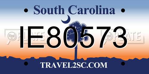 IE80573 South Carolina License Plate