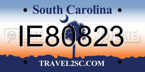 IE80823 South Carolina License Plate